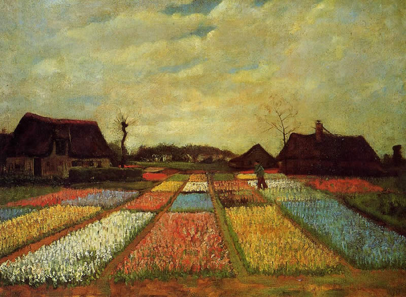 Vincent van Gogh Bulb Fields